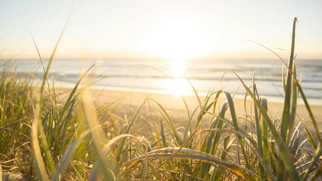Morning Reset: Setting Up Your Day for Calm and Clarity
