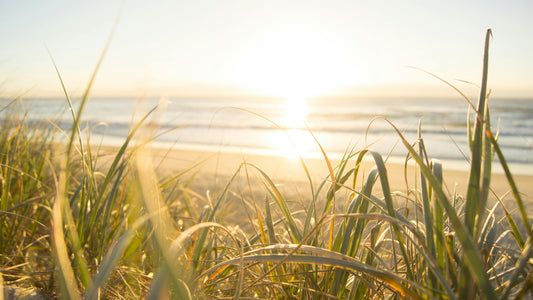 Morning Reset: Setting Up Your Day for Calm and Clarity